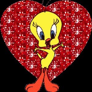 Meet your Posher, Socorro